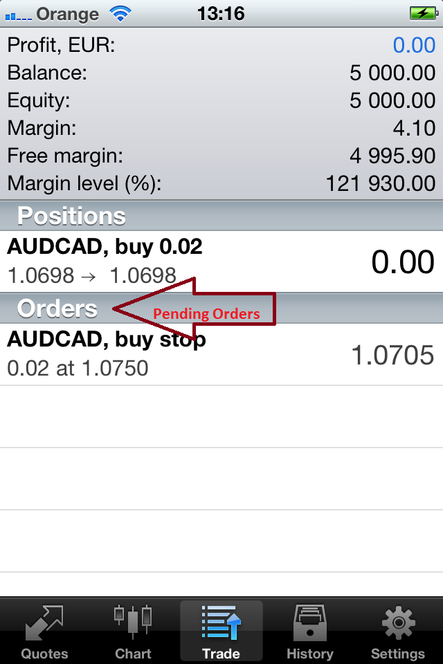 I Trade kan du se ditt kontosaldo, tillgängliga medel, marginal, fri marginal, marginalnivå, PnL, liksom al