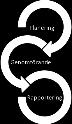 3.7 Granskningsprocessen Granskningsprocessen kan variera beroende på företagets branschtillhörighet samt vilka områden granskaren väljer att lägga vikt vid (Kolk & Perego, 2010).