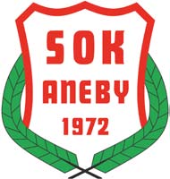 Denna bok