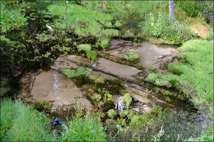 Klimatets påverkan på koncentrationer av kemiska ämnen i grundvatten Mats Aastrup, Bo
