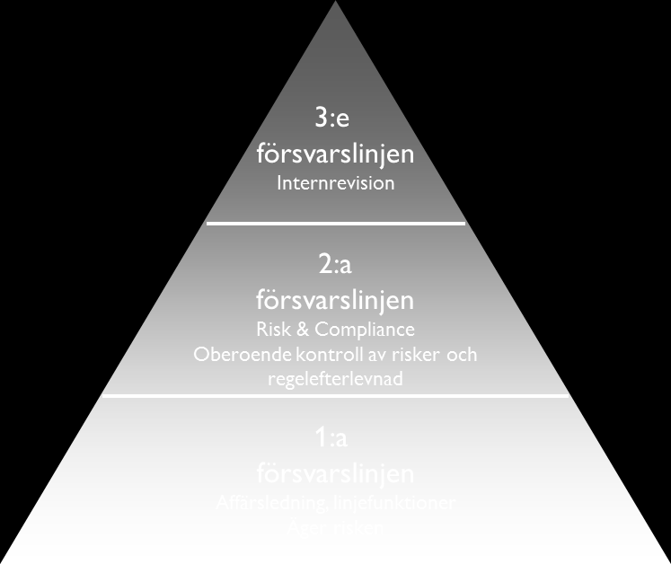 RISK Risk innefattar osäkerhet i olika former och är ett naturligt inslag i alla typer av verksamheter.