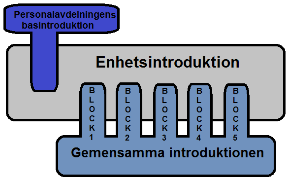 5. Resultat och Analys Detta kapitel inleds med en presentation av våra respondenter följt av en deskriptiv redogörelse av hur introduktionen är konstruerad, vad den innehåller samt vad den åsyftar.