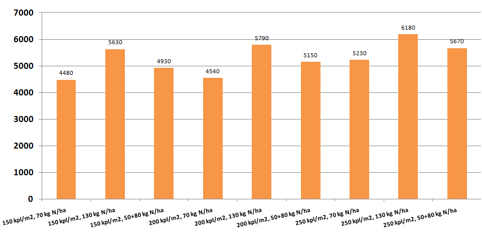 Försök A: såningstidpunkt 25.8.