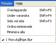 53 Om rutan bockas i och man väljer Full förstoring anpassar man skärmutseendet efter skärmen. Texten och rutorna i programmet kan anpassas i storlek. 6.