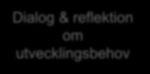 Att analysera och bedöma Analysera vad som orsakar och påverkar resultaten och måluppfyllelsen både kontinuerligt i det dagliga arbetet och inför beslut om utvecklingsinsatser.