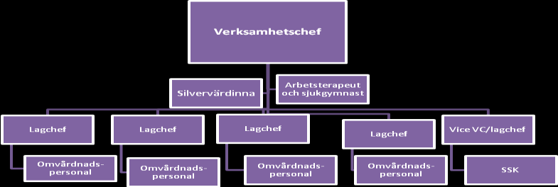 Organisatoriskt ansvar för patientsäkerhetsarbetet SFS 2010:659,3 kap. 9 och SOSFS 2011:9, 7 kap.