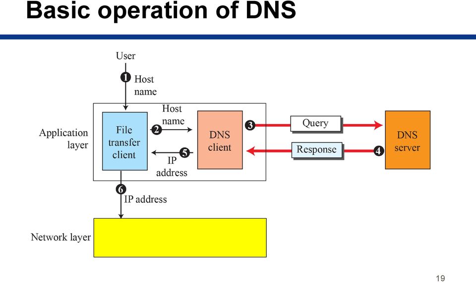 of DNS 19