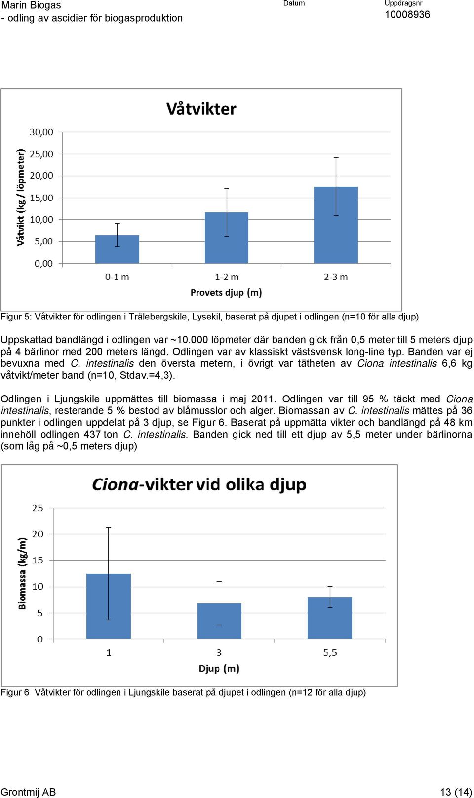 intestinalis den översta metern, i övrigt var tätheten av Ciona intestinalis 6,6 kg våtvikt/meter band (n=10, Stdav.=4,3). Odlingen i Ljungskile uppmättes till biomassa i maj 2011.