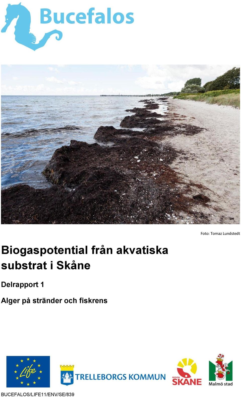 substrat i Skåne Delrapport 1 Alger