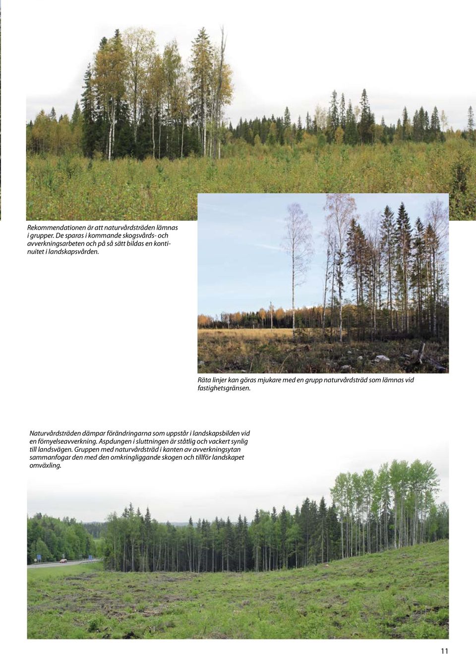 Räta linjer kan göras mjukare med en grupp naturvårdsträd som lämnas vid fastighetsgränsen.