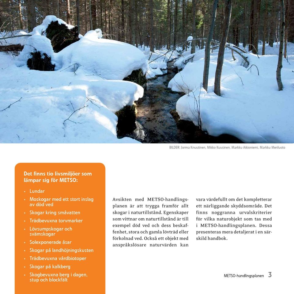 med METSO-handlingsplanen är att trygga framför allt skogar i naturtillstånd.