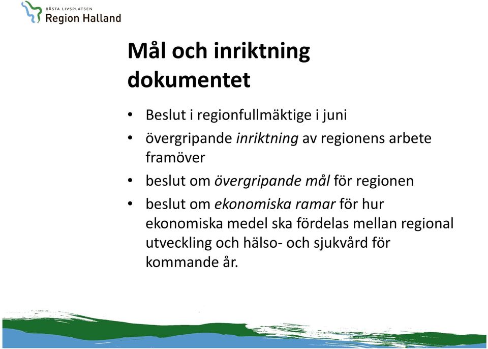 övergripande mål för regionen beslut om ekonomiska ramar för hur