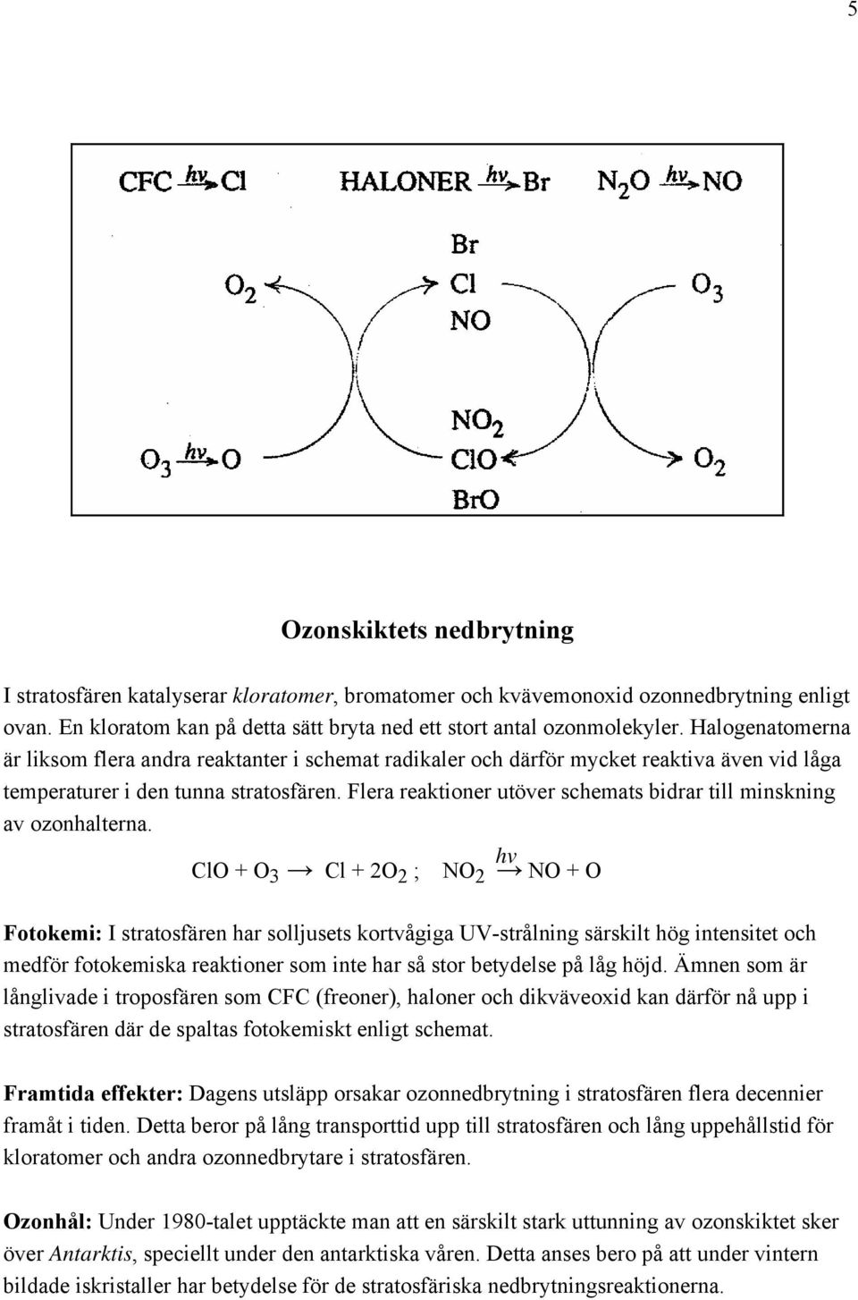 Flera reaktioner utöver schemats bidrar till minskning av ozonhalterna.