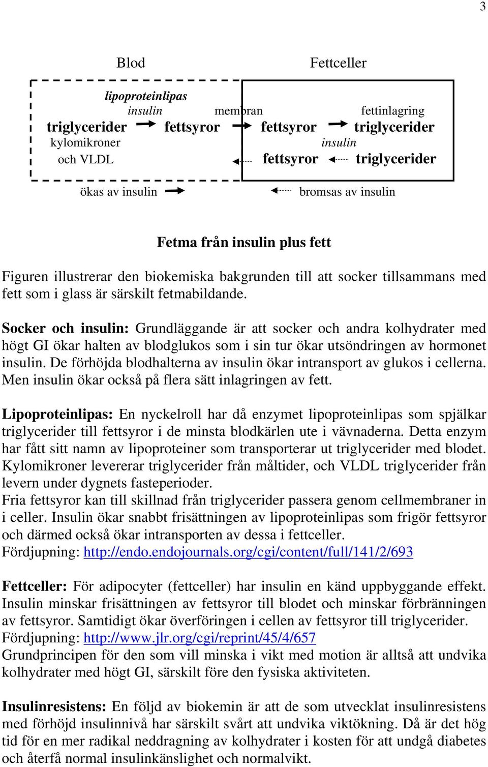 Socker och insulin: Grundläggande är att socker och andra kolhydrater med högt GI ökar halten av blodglukos som i sin tur ökar utsöndringen av hormonet insulin.