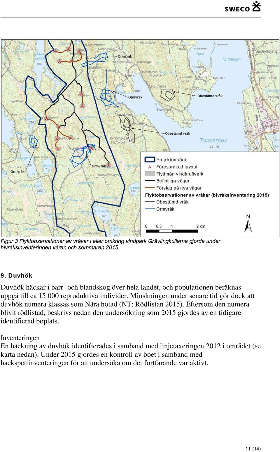 Minskningen under senare tid gör dock att duvhök numera klassas som Nära hotad (NT; Rödlistan 2015).