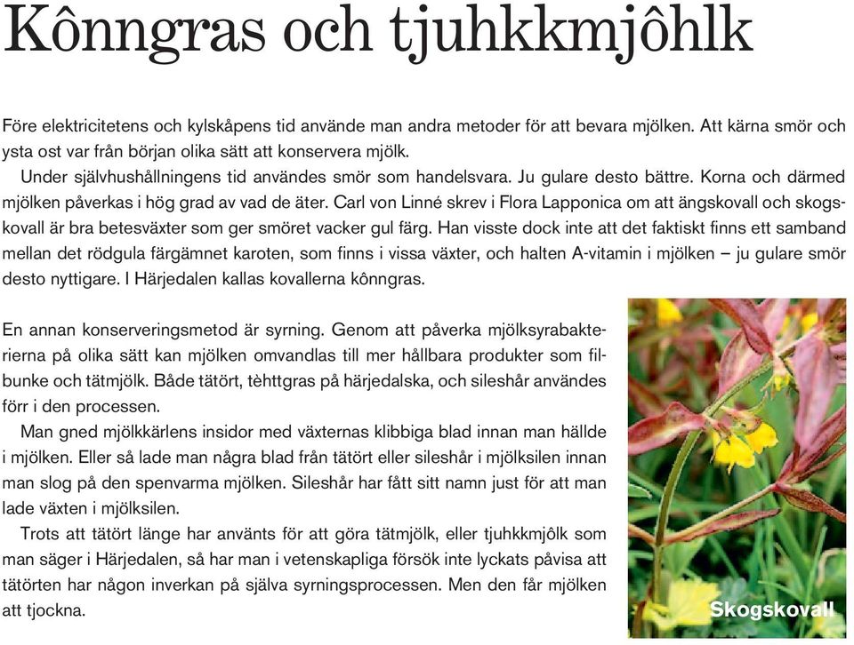 Carl von Linné skrev i Flora Lapponica om att ängskovall och skogskovall är bra betesväxter som ger smöret vacker gul färg.