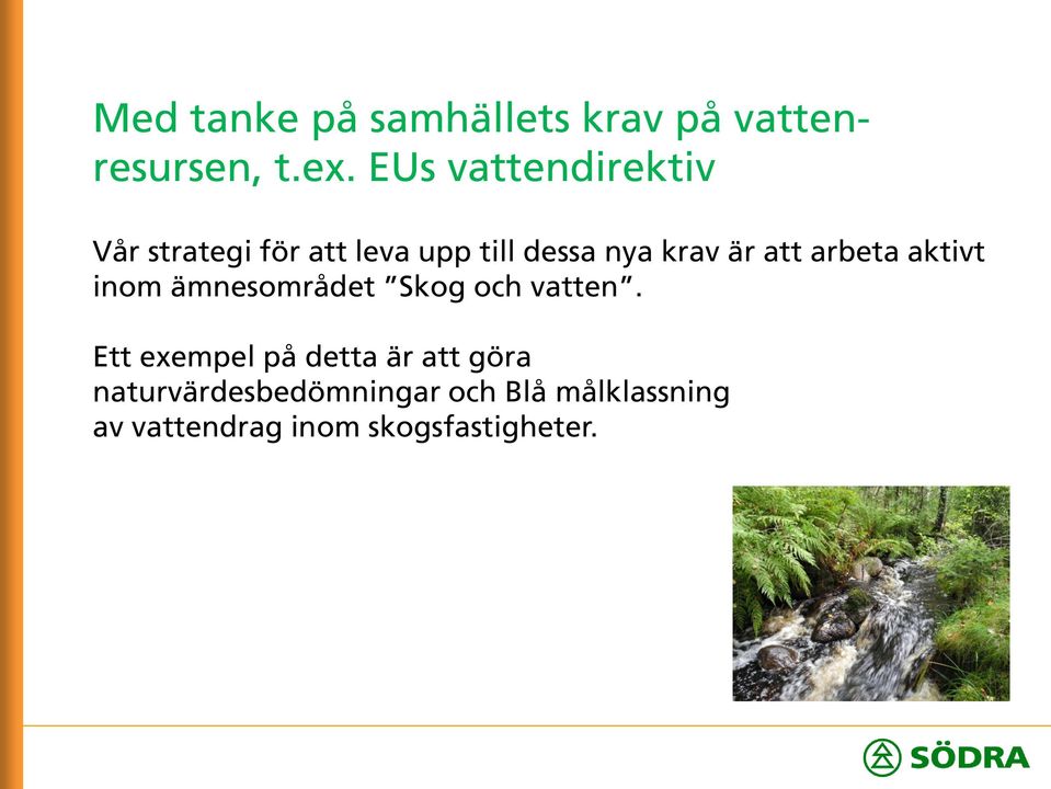 att arbeta aktivt inom ämnesområdet Skog och vatten.