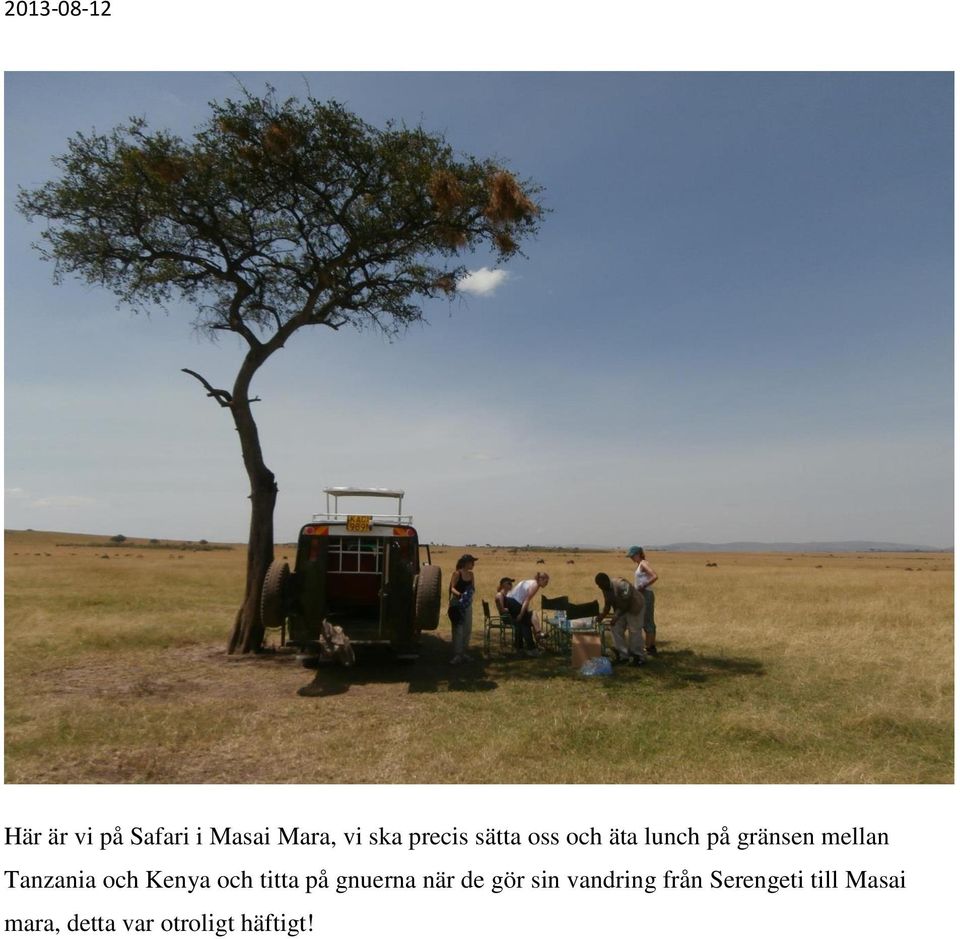 Kenya och titta på gnuerna när de gör sin vandring