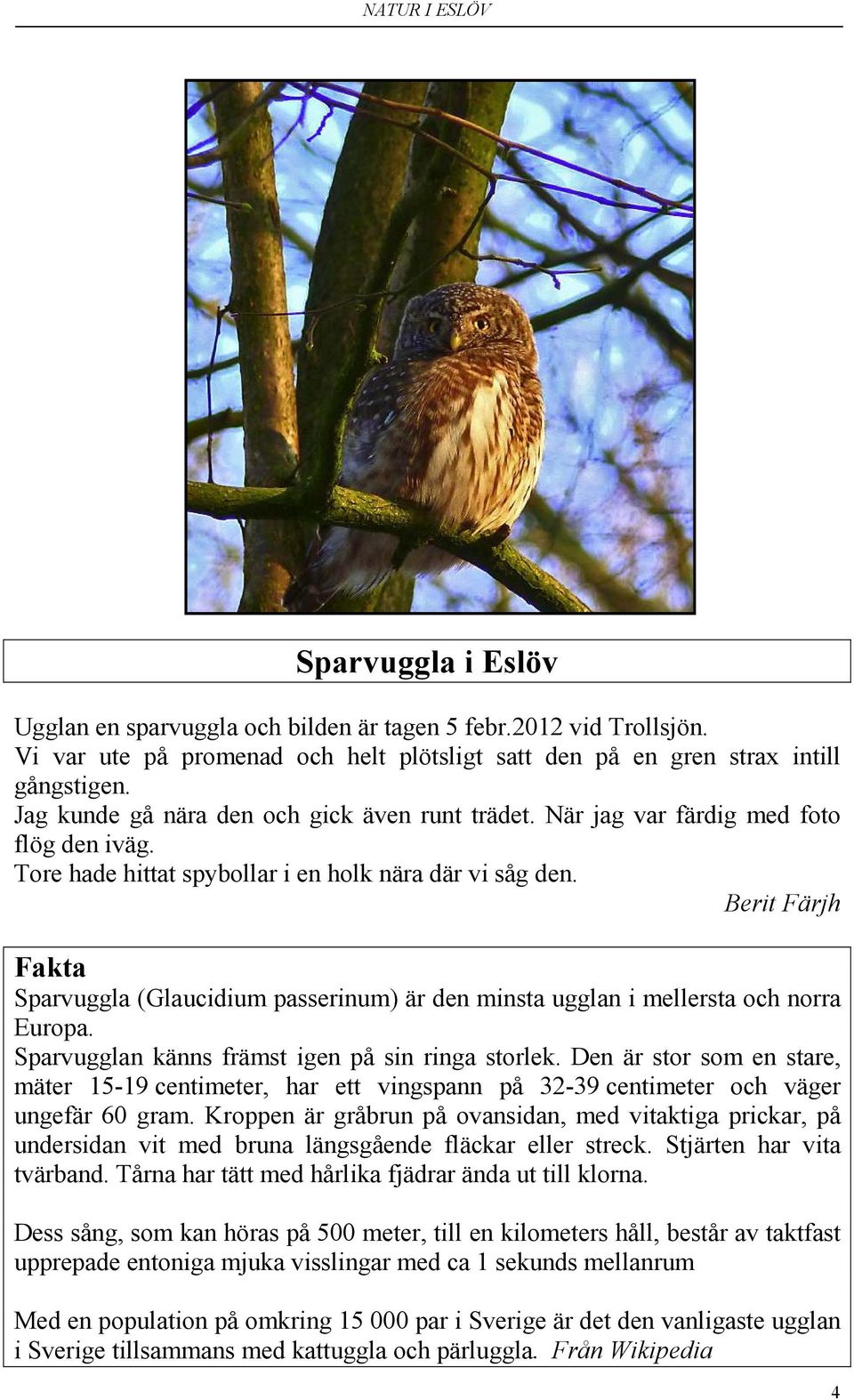 Berit Färjh Fakta Sparvuggla (Glaucidium passerinum) är den minsta ugglan i mellersta och norra Europa. Sparvugglan känns främst igen på sin ringa storlek.