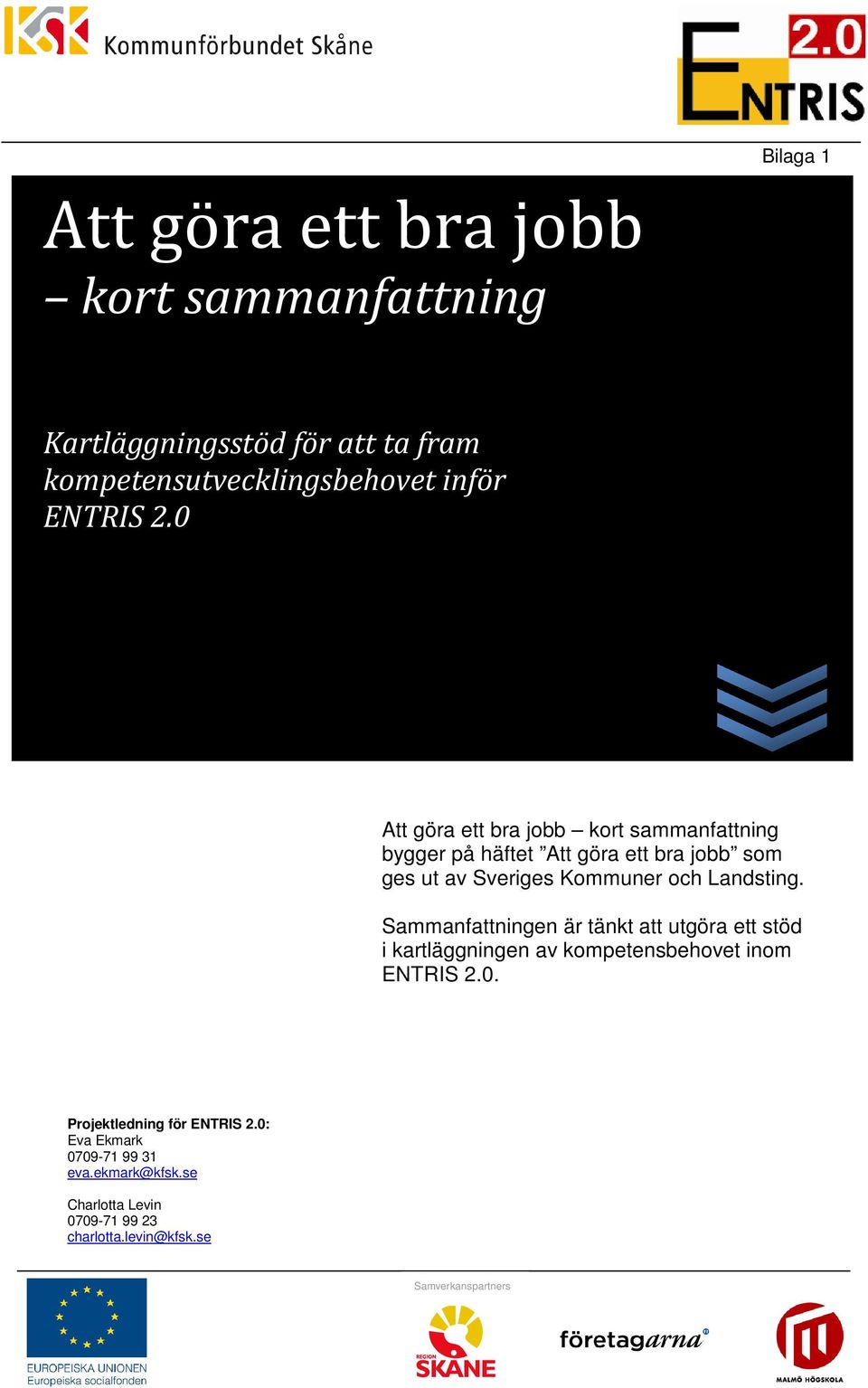 Landsting. Sammanfattningen är tänkt att utgöra ett stöd i kartläggningen av kompetensbehovet inom ENTRIS 2.0.