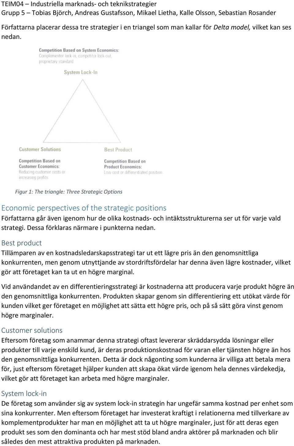 strategi. Dessa förklaras närmare i punkterna nedan.