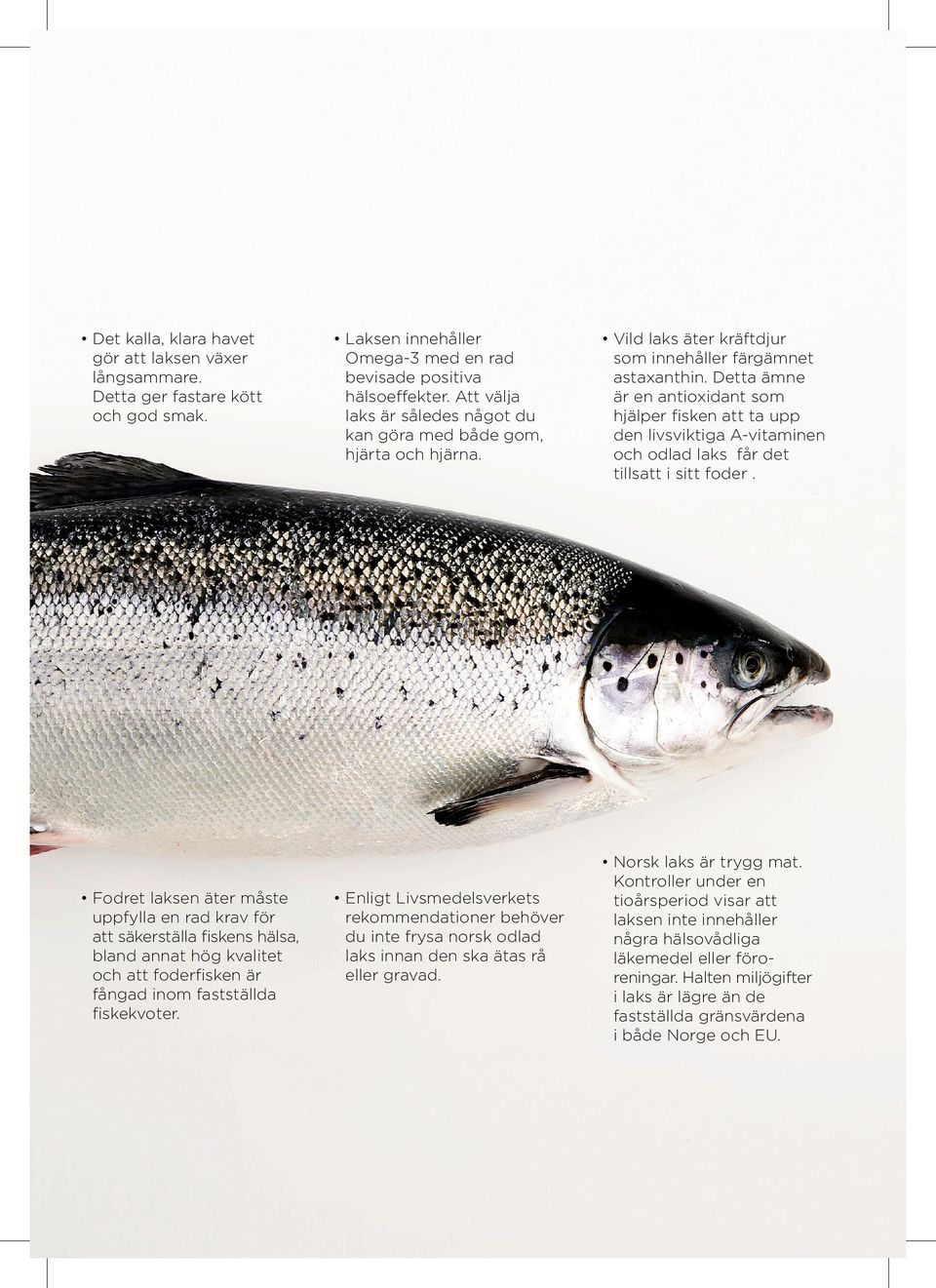 Laksen innehåller Omega-3 med en rad bevisade positiva hälsoeffekter. Att välja laks är således något du kan göra med både gom, hjärta och hjärna.