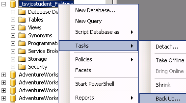 Backup 1 Högerklicka på din databas 2 Välj Backup Type 3 Gör dina val!