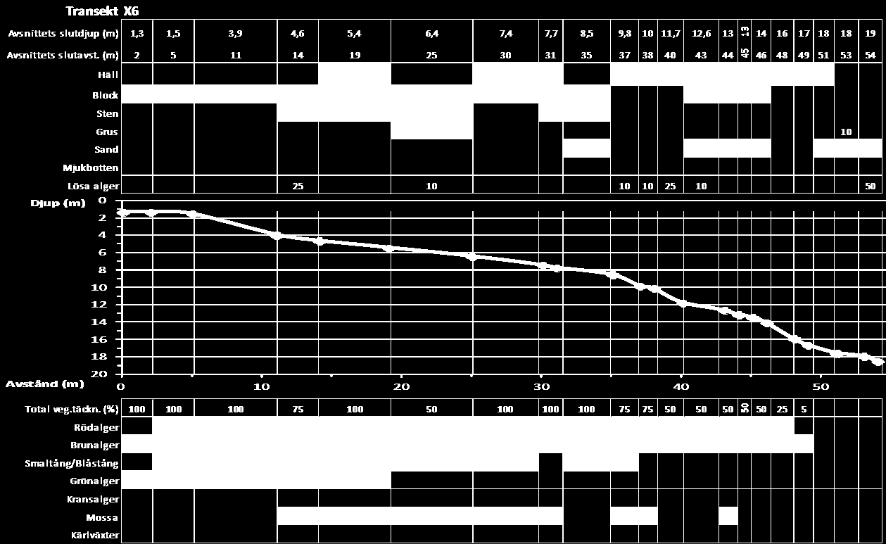 Transekt X6, Hålö klubb Denna relativt branta transekt nådde 18,5 m djup på 54 m avstånd från startpunkten vid stranden.