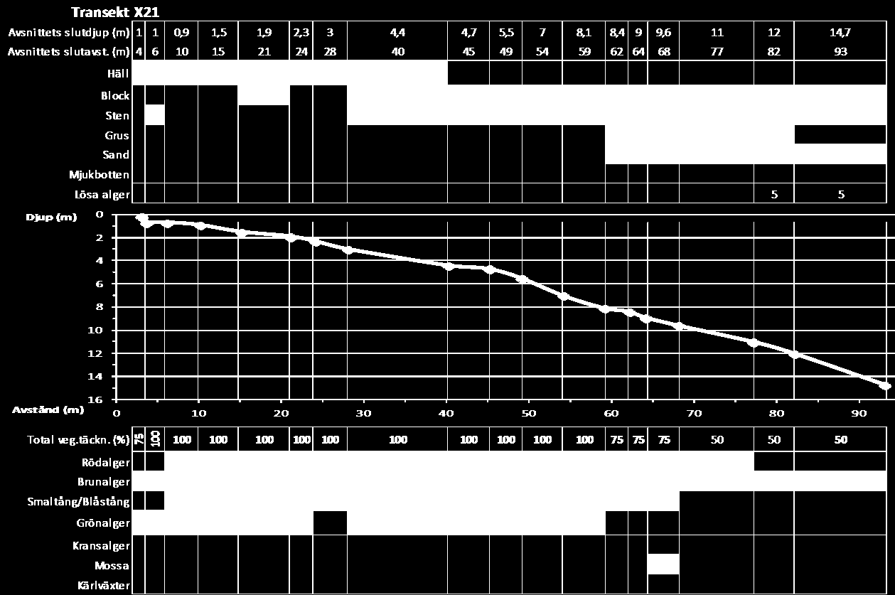 Transekt X21, Västerön - Jättholmarna En ny transekt etablerades på Västeröns norrsida. Transekten var 93 m lång och gick ned till 14,7 m djup.