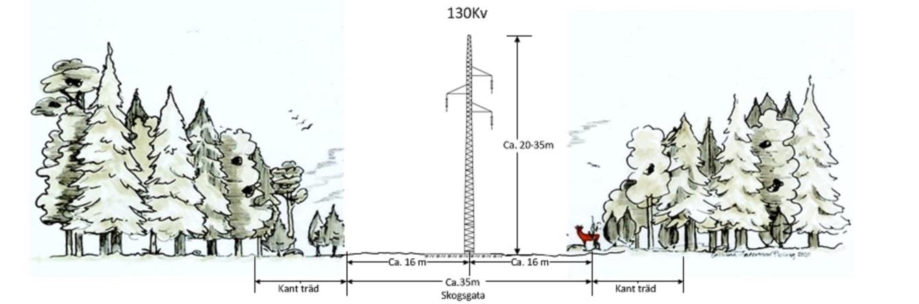 Figur 5. Exempelbild på skogsgata där ledningen är uppförd i enbent gitterstolpe.