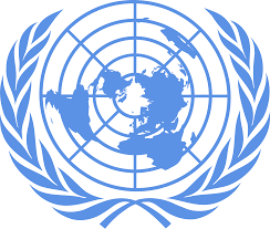 1. FN eller som det egentligen heter, Förenta Nationerna, är en organisation som arbetar för internationellt samarbete. Förenta nationerna grundades år 1945 efter andra världskriget.