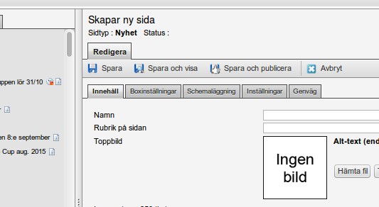 Skriv in den information som gäller för nyheten.