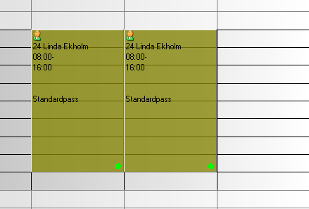 Det som händer nu är att vi får gröna markeringar i högra hörnet som visar att passen är bekräftade och passet som Lisa inte kunde ta är nu borta och vi får lägga ut