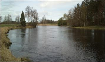 Arbogaån mellan Åtorp och Röfors (Figur 9) 6587658, 1494059 till 6587612, 1495426 Då rapporter kommit in från folk i området om stor fisk som möjligen lekte på denna sträcka avsöktes området 24 april