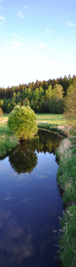 Johan Kling Vattenmyndigheten, Västerhavets