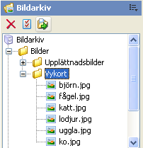 OBS! Alla filer som läggs in i bildarkivet blir sökbara i sökmotorn. Vill man dölja filer i bildarkivet så får man gå in och markera att bilderna inte skall hittas i sökmotorn (se avsnitt 5.6.