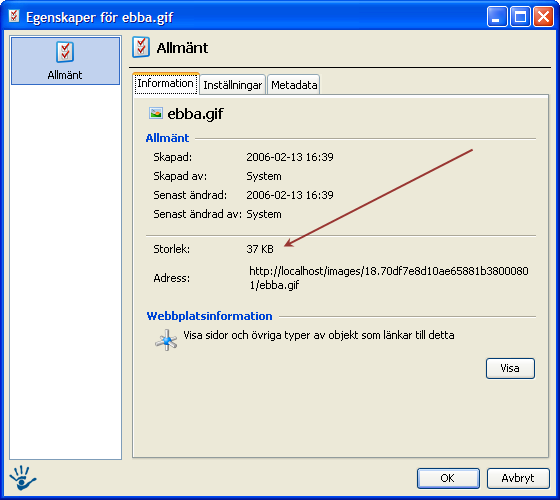 Högerklickar man på ett bildnamn i Bildarkivet och väljer Egenskaper så ser man även filstorleken: Bildbeskrivning Det går