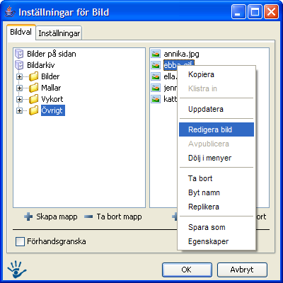 en beskrivning på metadatafliken på bilden. Läs mer om detta under Menyn i Navigatorn-> Bildarkiv.