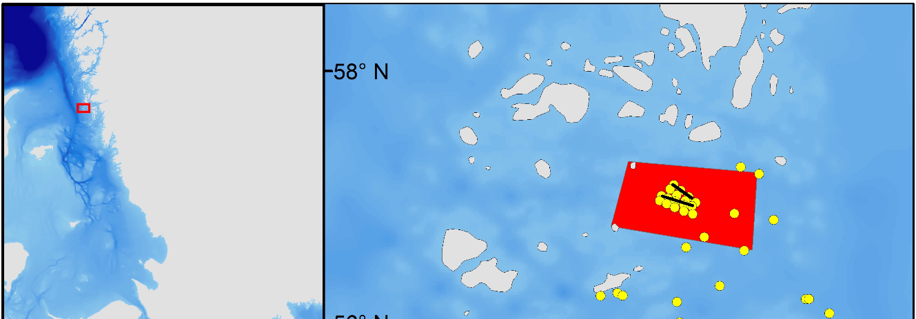 Figur 1. De fiskefria områdena (röda zoner) vid Tanneskär (övre) och Buskär (undre). Svarta linjer representerar lokalisering av konstgjorda rev.