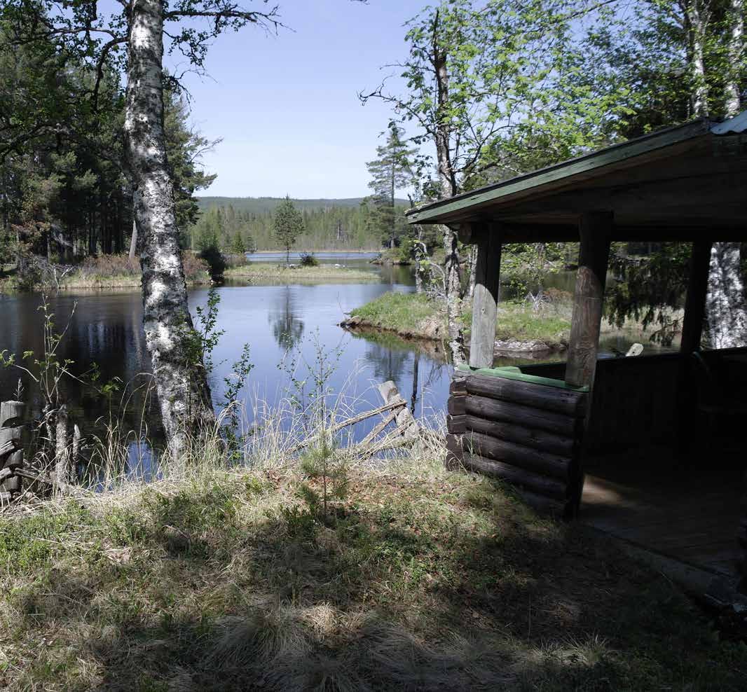 STUGA PÅ STRANDKANTEN Del av fastighet omfattande ca 6 ha skogsmark och en stuga i ett fantastiskt, vattennära läge invid Ljusnan.