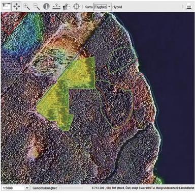 Är en konstgjord kombination av den senaste flygbilden och den senaste satellitbilden.