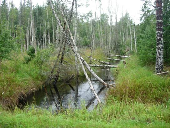 Utströmningsområde