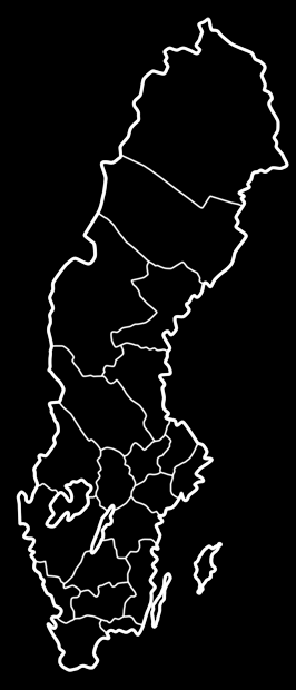 REGIONALA EXEMPEL PÅ FRAMGÅNGSNYCKLAR Nära kontakt med offentliga strukturer: Region Värmland har stått innanför den regionala strukturen och kunnat komma nära konkret utvecklingsarbete eftersom man