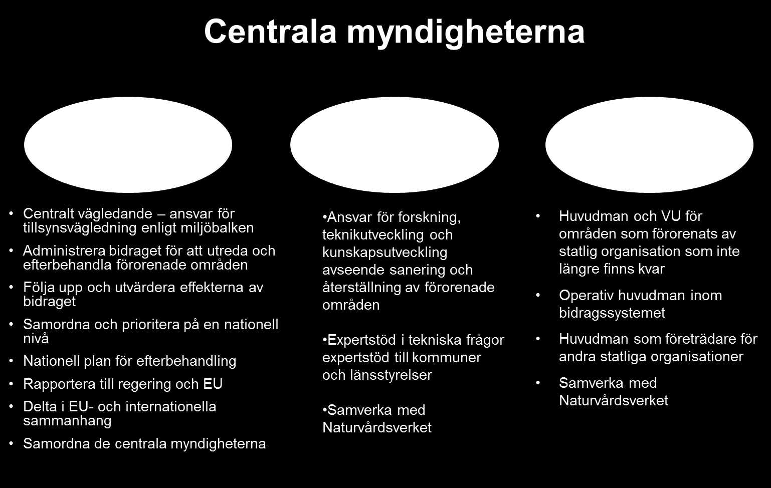 Naturvårdsverket Swedish