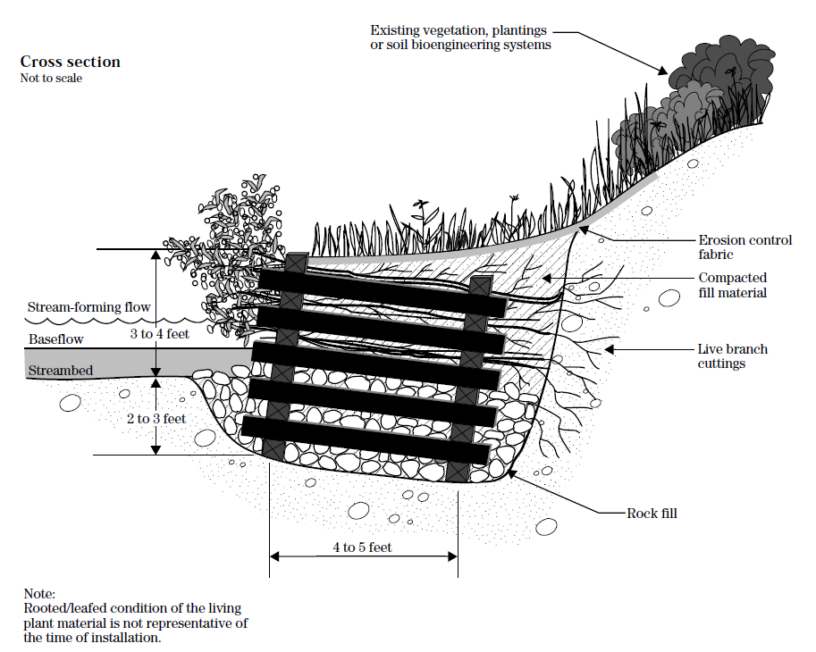 Figur 50 Illustration av stockmur med levande grenar (Illustration: USDA, 1996). 6.2.