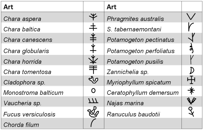 Figur 1. Vegetations karta över Engrundsfjärden.