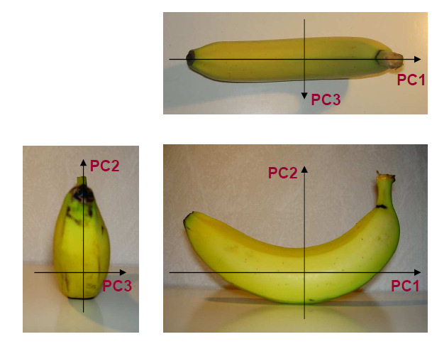 Rita en banan och måttsätt När vi ska projicera och måttsätta bananen faller det sig naturligt att