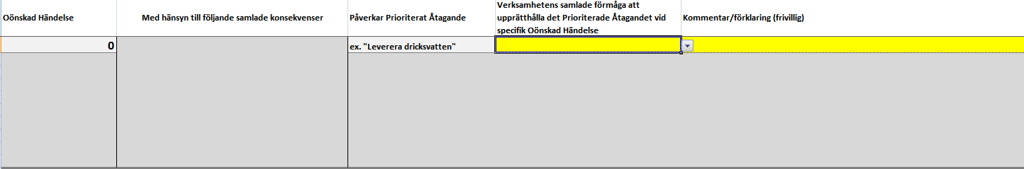 Under flik tre beskrivs vilka disponibla resurser verksamheten har tillgång till samt om dessa kan nyttjas av andra aktörer under en kris.