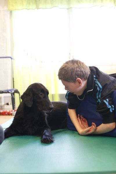 Hundassisterad terapi För unga med