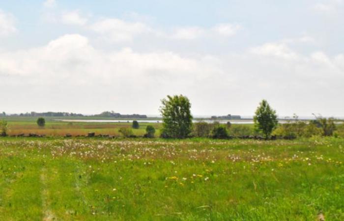 Län Halland Gatuadress Kommun